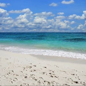 Meet your Posher, Christyn